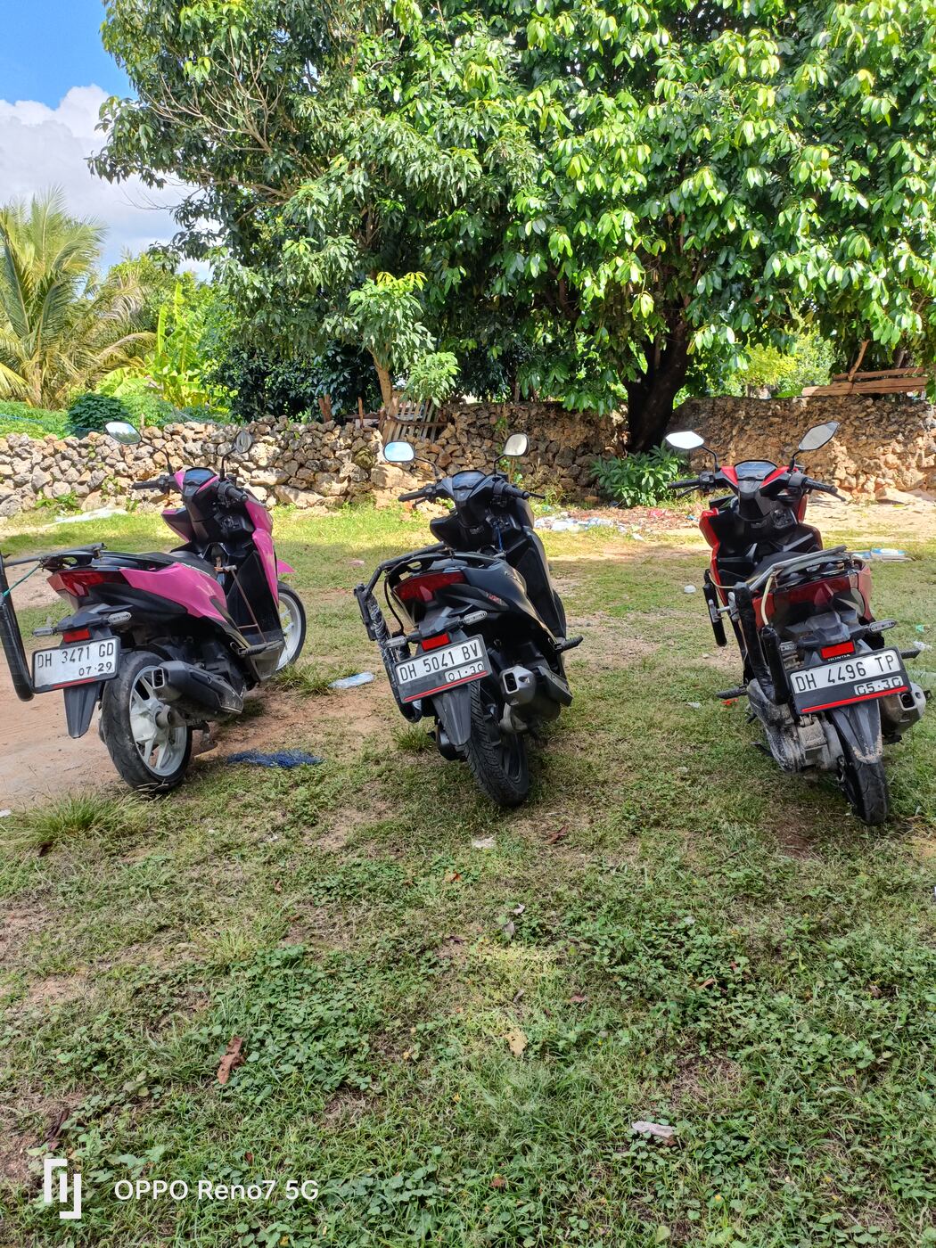 Honda Vario scooters available for rent on Rote Island